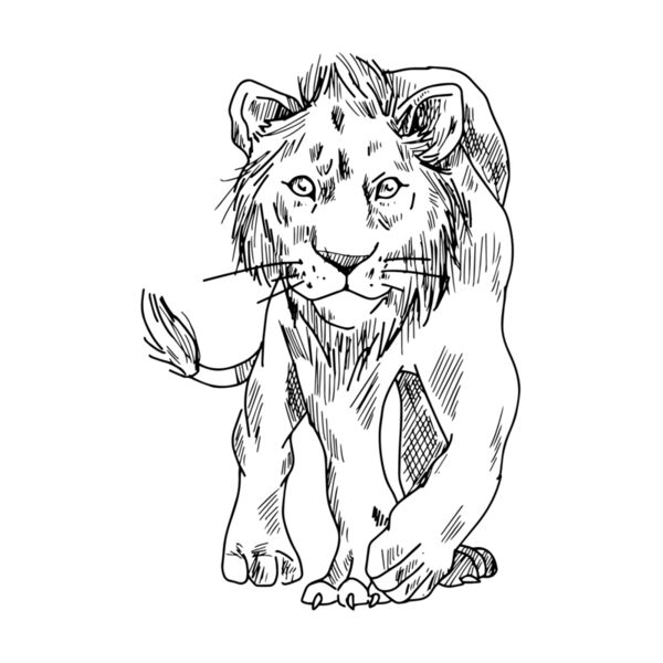 2SF wild lion Thumbnail